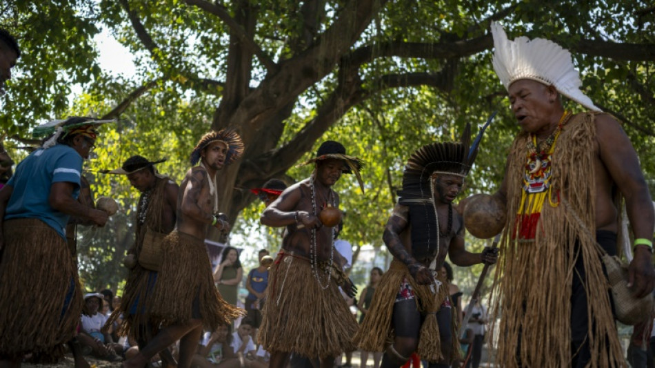 Brazil's Indigenous people hail return of sacred cloak