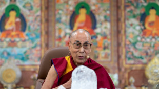 Le dalaï lama appelle à réduire la dépendance aux sources d'énergie fossiles