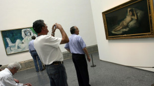 Dos activistas pegan sus manos en el marco de pinturas de Goya en Madrid