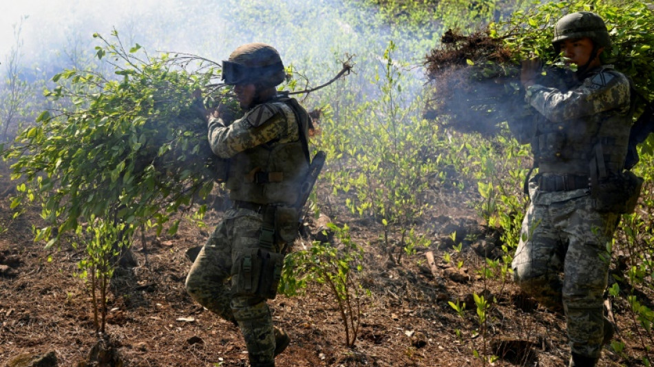 Coca crops take root in Mexico as opium demand wanes