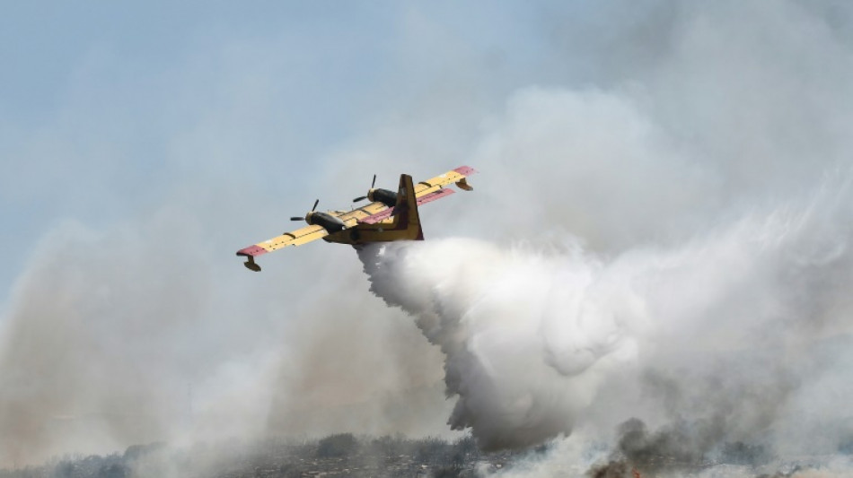 Greek ecosystems face increasing fire risk, experts say