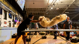 Esquilar es un oficio y un arte, muestra el concurso Golden Shears en Nueva Zelanda