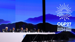 Los principales puntos adoptados en la COP27