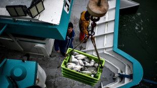 Reunião ministerial da OMC tem negociações complexas sobre pesca e agricultura