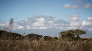 Mount Kilimanjaro fire under control: Tanzania authorities