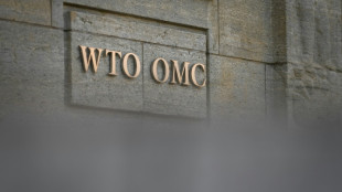 WTO-Ministertreffen in Genf von Krieg und Krisen überschattet