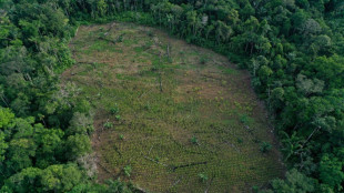 La Colombie propose un fonds international pour que les paysans protègent l'Amazonie