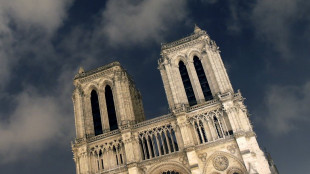 Five not-so-famous things about Notre-Dame cathedral