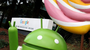 Google wins delay in opening Android app store to rivals