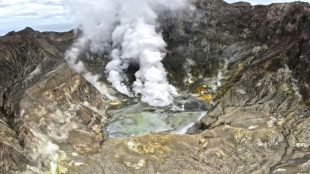 Vols annulés après une éruption volcanique en Nouvelle-Zélande