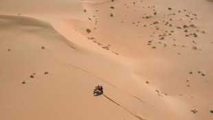 Kevin Benavides se pone líder de motos en el Dakar, Branch gana la décima etapa