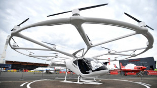 'Flying taxis' to be tested during Paris Olympics: minister 