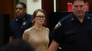 Phony heiress Anna Sorokin released from US immigration detention